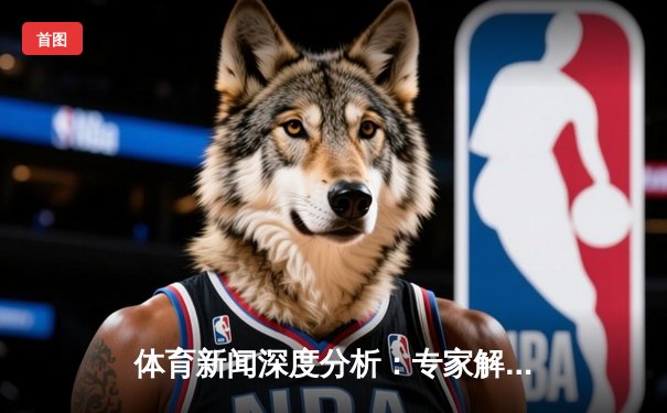 体育新闻深度分析：专家解读